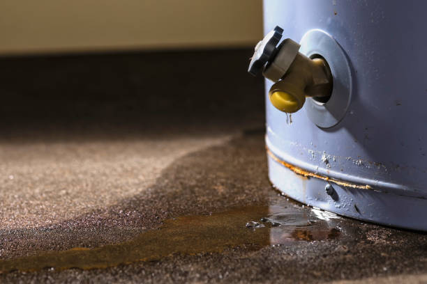Best Fire Damage Restoration  in Graysville, TN