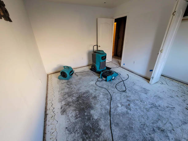 Best Basement water damage restoration  in Graysville, TN