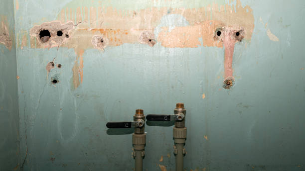 Best Fire Damage Restoration  in Graysville, TN