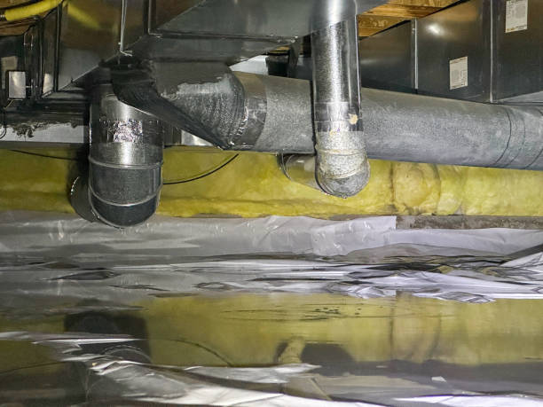 Best Flood restoration services  in Graysville, TN